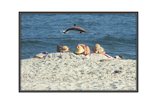women in bonnets viewing jumping dolphin, note seagull