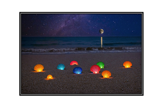 colorful lit seahells on beach with moon