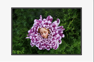 sleeping fairy