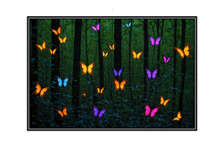 beautiful lit butterflies in the woods at twilight