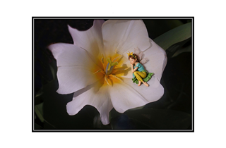sleeping fairy in a flower