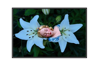 sleeping on white lilies