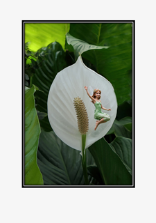 flying waving fairy